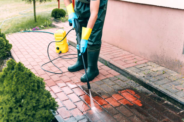 Professional Pressure Washing in Fruitland, NC